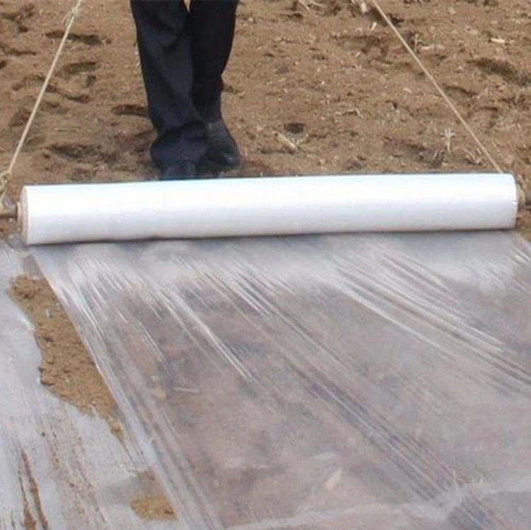 سفید پلاسٹک ملچ فلم